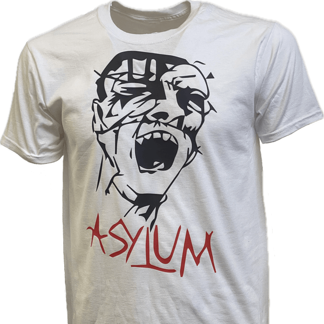 Original 1980 Design Asylum T Shirt