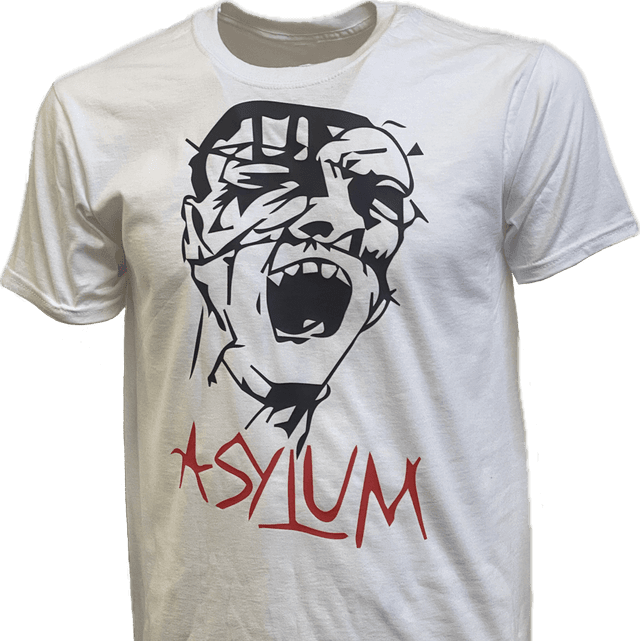 Original 1980 Design Asylum T Shirt