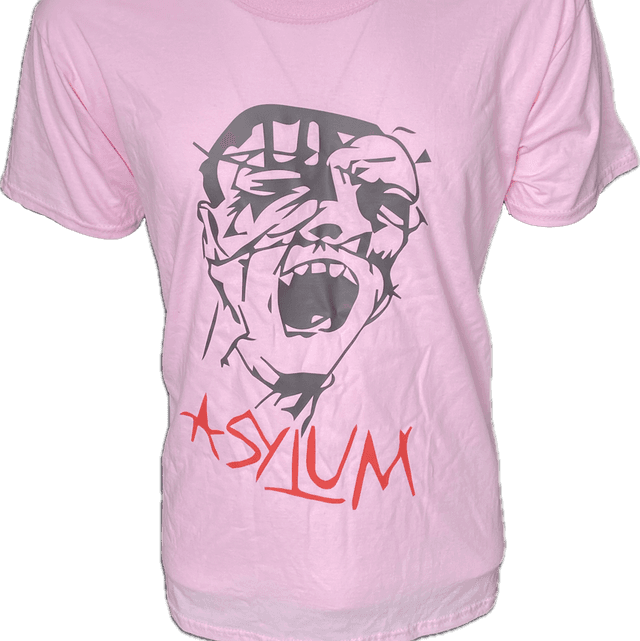 Original 1980 Design Asylum T Shirt in Lt Pink